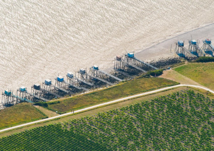 Gironde par Rémi 100