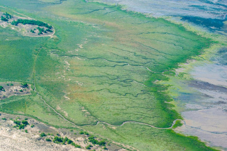 Gironde par Rémi 106