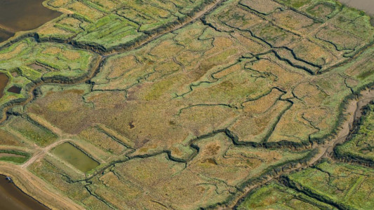 Gironde par Rémi 110