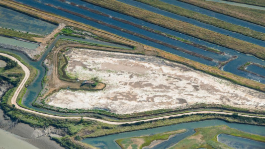 Gironde par Rémi 111