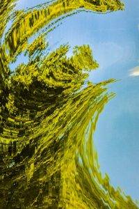 abstractions par Jean Claude