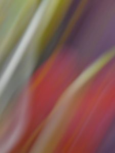 abstractions par Rémi