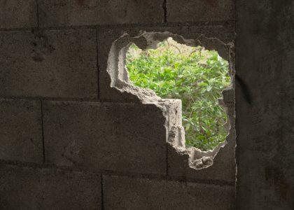 liberté par Moussa