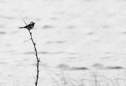 minimalisme par Gil