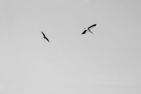 minimalisme par Gilles