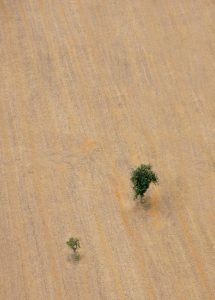 minimalisme par Gilles