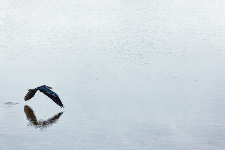 minimalisme par Jean Claude