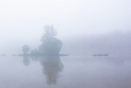 minimalisme par Odile