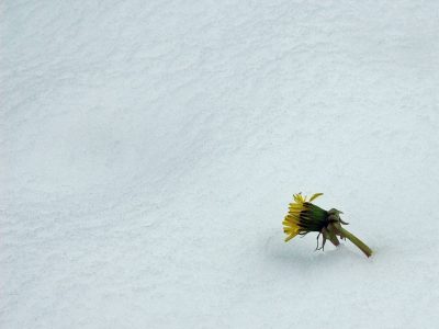 minimalisme par Sylvia