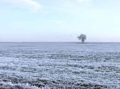 Minimalisme par Thierry