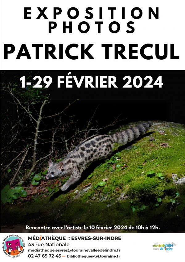 Exposition Patrick TRECUL 1 – 29 février 2024. Mars