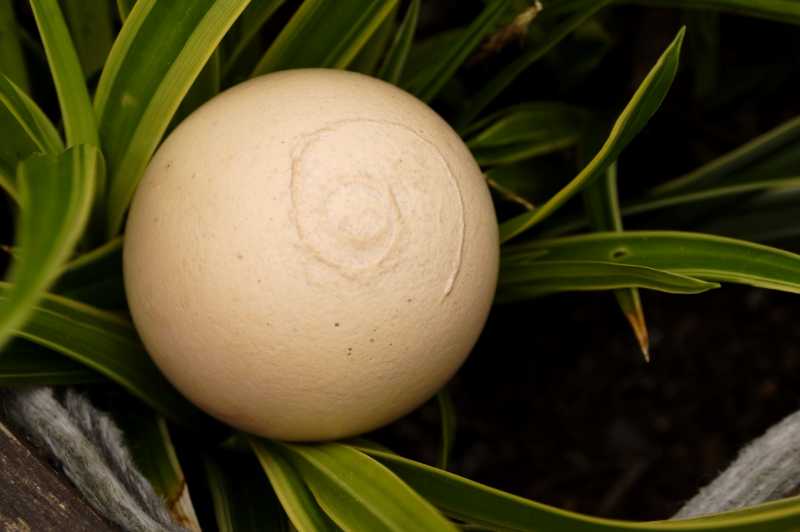 T15 2022 GEO GDE 2770 