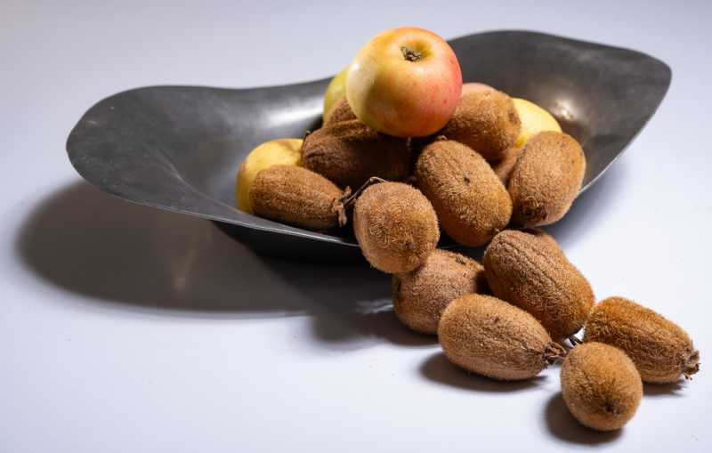 EXP 2024 MON JNN 001