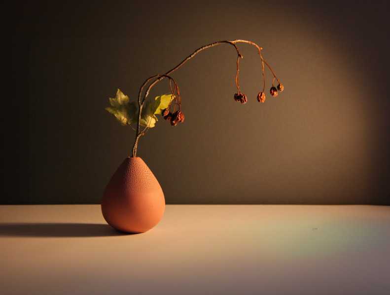 2481 EXP 2024 MON JMP 004 cadre et sign light élargi