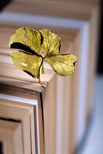 EXP 2024 MON JNA 105