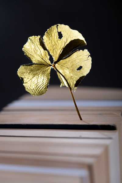 EXP 2024 MON JNA 104