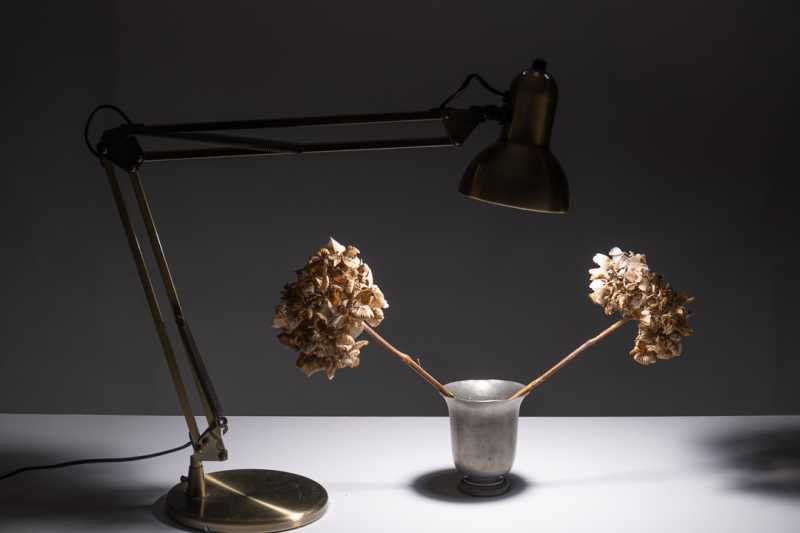 EXP 2024 MON JNA 106 EXP 2024 MON JNA 106