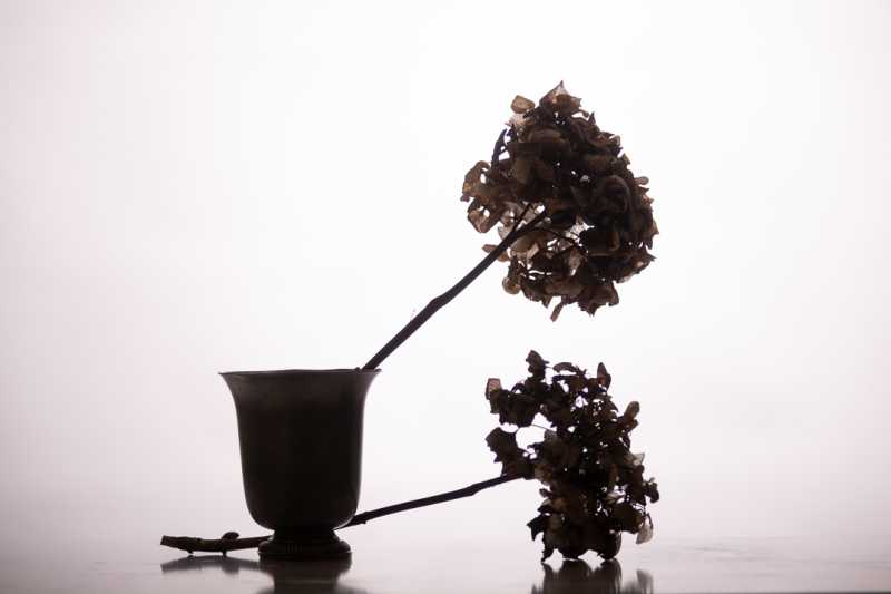 EXP 2024 MON JNA 107 EXP 2024 MON JNA 107