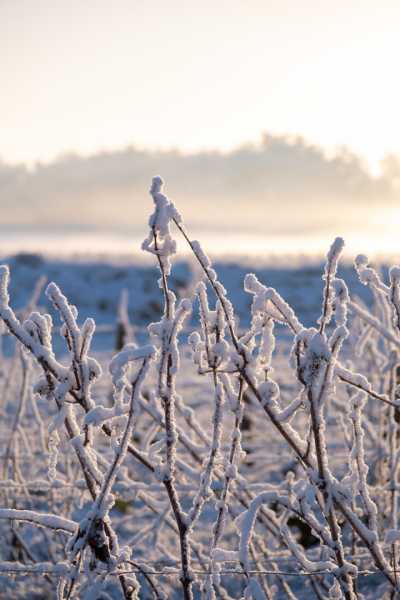 202601 06 Husseau sous la neige 062 202601 06 Husseau sous la neige 062