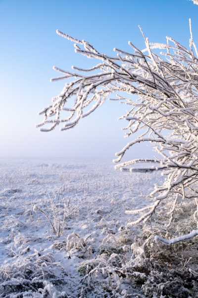 202601 06 Husseau sous la neige 080 202601 06 Husseau sous la neige 080