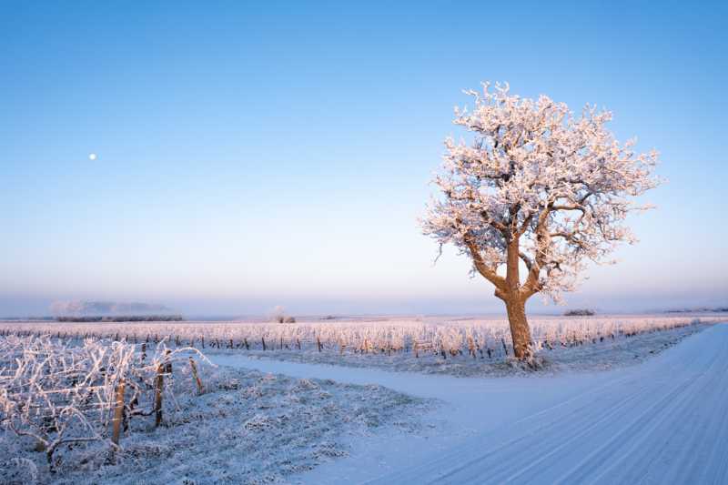 202601 06 Husseau sous la neige 039 202601 06 Husseau sous la neige 039