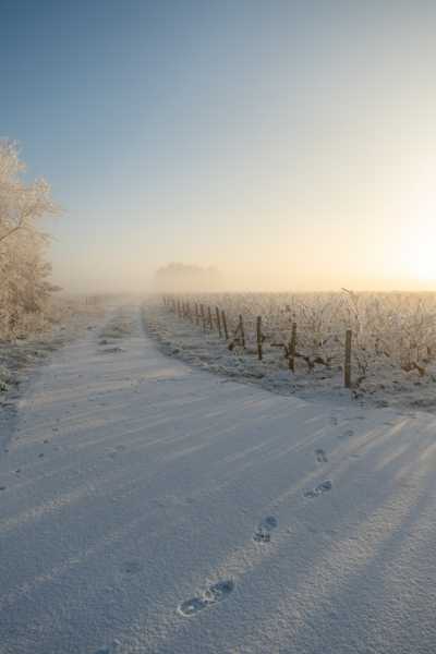 202601 06 Husseau sous la neige 086 202601 06 Husseau sous la neige 086