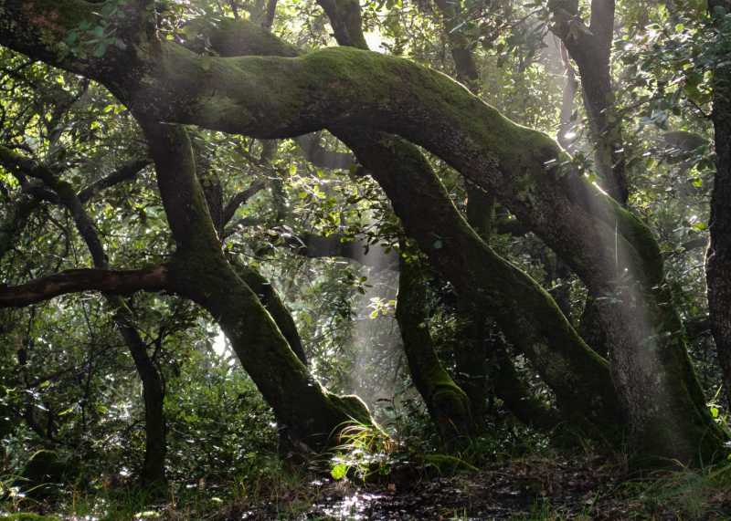 EXP 2021 NDO JNA 100 EXP 2021 NDO JNA 100