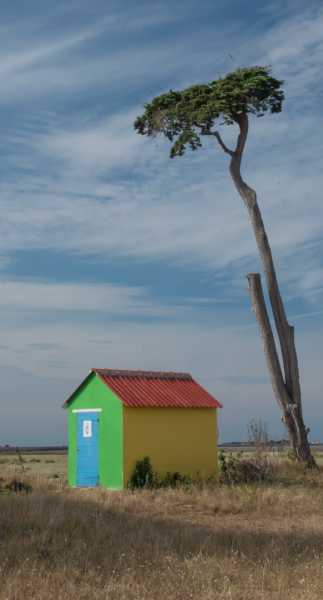 T15 2021 PAY RRO 100 T15 2021 PAY RRO 100