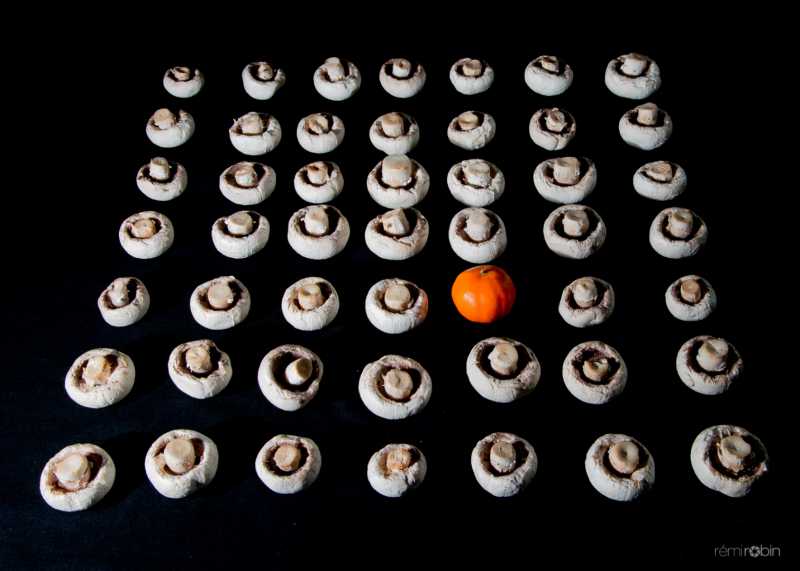 EXP 2022 MON RRO 102 EXP 2022 MON RRO 102