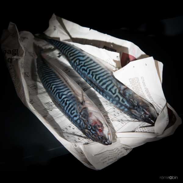 EXP 2022 CHA RRO 102 EXP 2022 CHA RRO 102