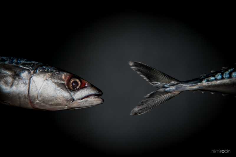 EXP 2022 CHA RRO 101 EXP 2022 CHA RRO 101