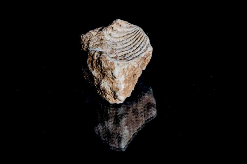 EXP 2022 ESV RRO 102 EXP 2022 ESV RRO 102