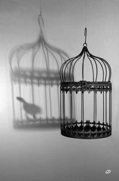 EXP 2022 CHG GDO 101 EXP 2022 CHG GDO 101