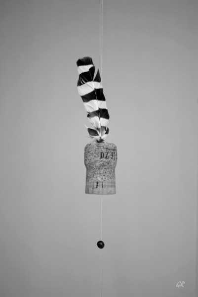 EXP 2022 CHG GRX 100 EXP 2022 CHG GRX 100