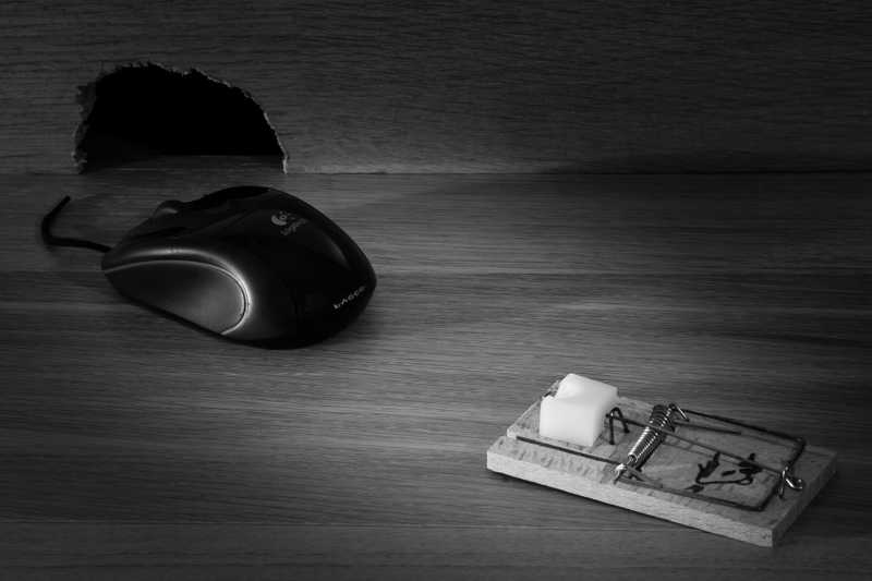 EXP 2022 CHG MFM 100 EXP 2022 CHG MFM 100