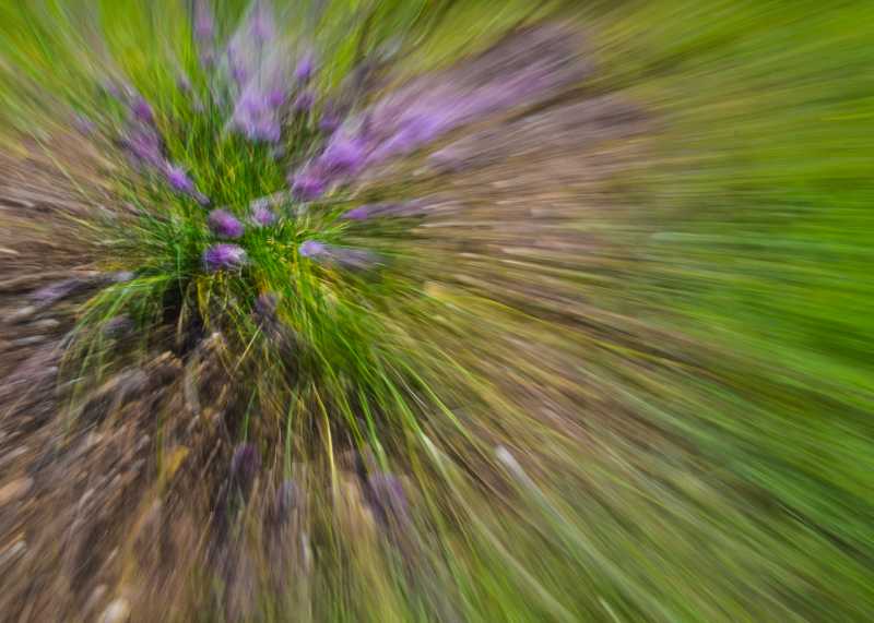 EXP 2022 NDO RR 103 EXP 2022 NDO RR 103