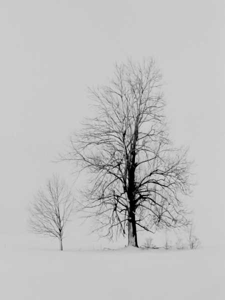 TRA 2022 GRA RRO 102 TRA 2022 GRA RRO 102