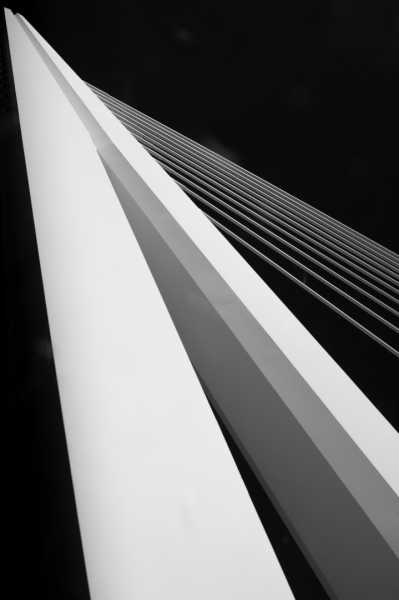 EXP 2023 CHA RRO 108