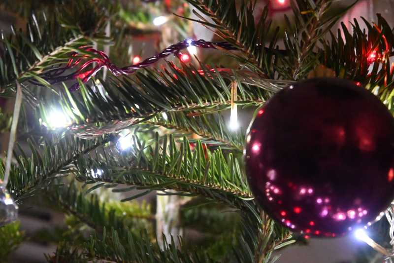 T30 2023 AMB RRO 102 T30 2023 AMB RRO 102