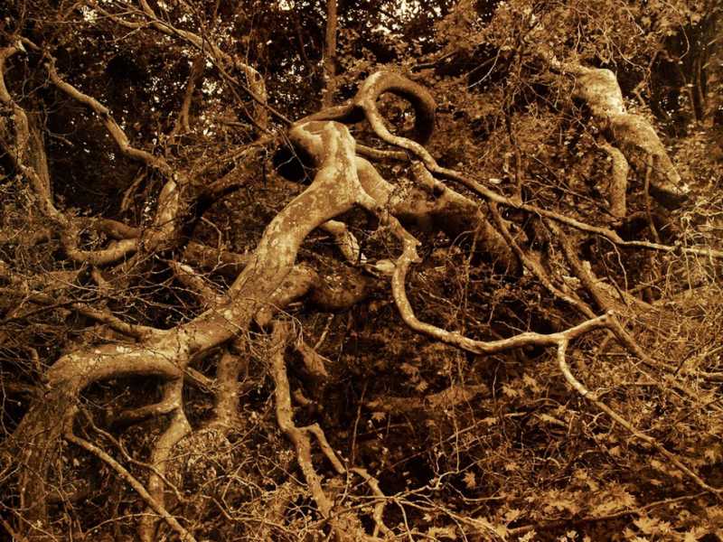 PHOTO RETENUE 5 PHOTO RETENUE 5