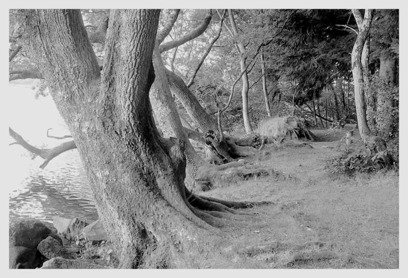 PHOTO RETENUE 1 PHOTO RETENUE 1