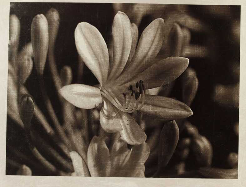 PHOTO RETENUE 4 PHOTO RETENUE 4