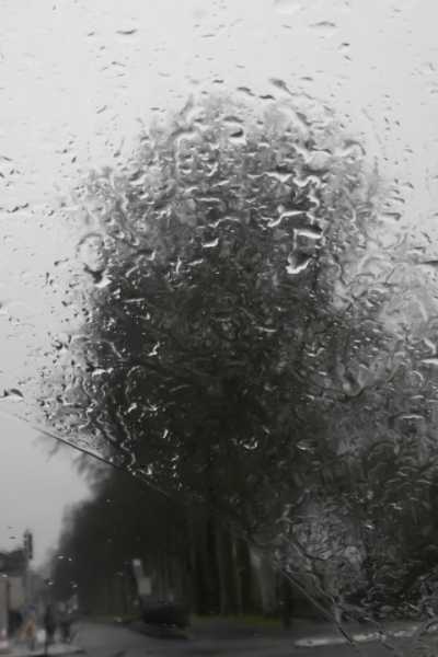 T30 2023 PLU RRO 102