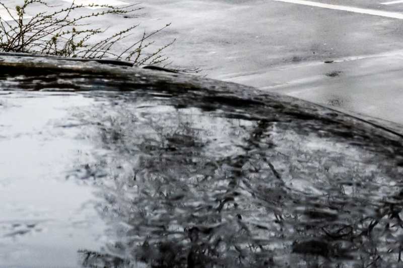 T30 2023 PLU RRO 101