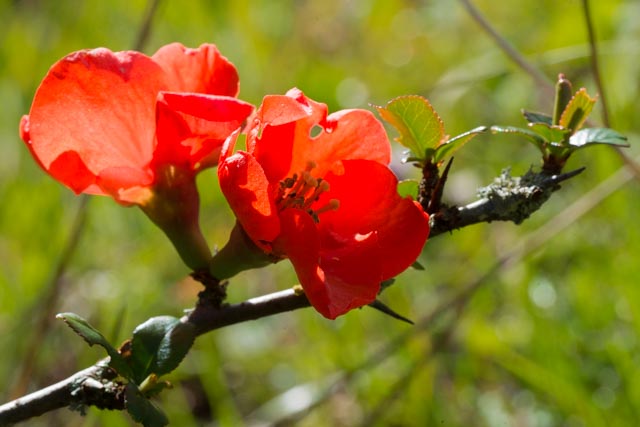 T30 2023 GRO RRO 104