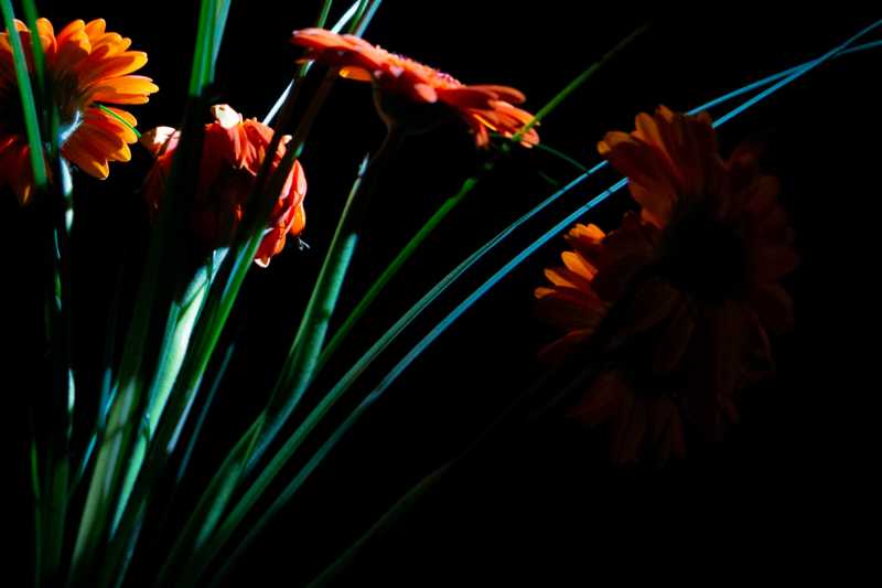 T30 2023 COD RRO 101