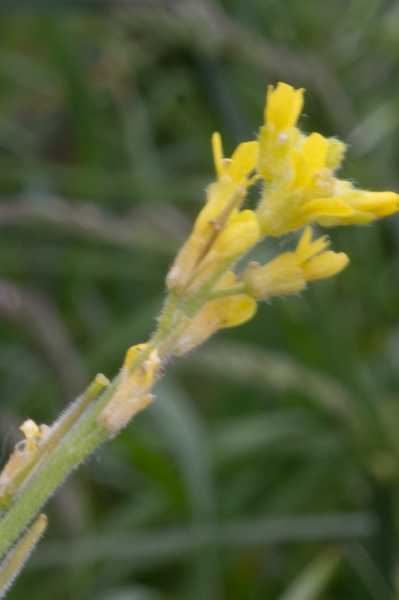 T30 2023 FLS RRO 102