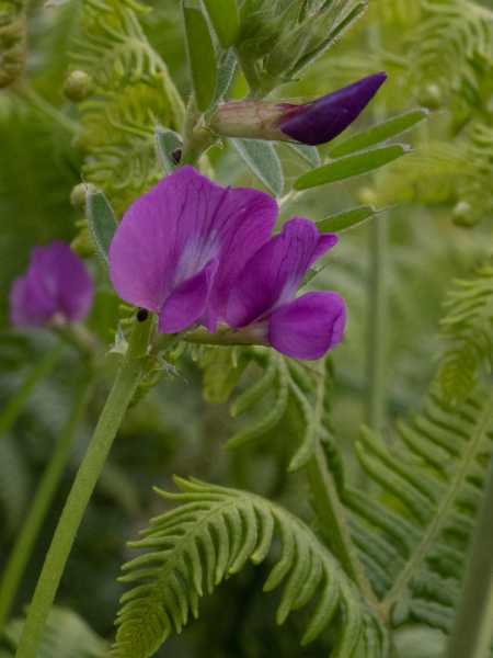 T30 2023 FLS RRO 100