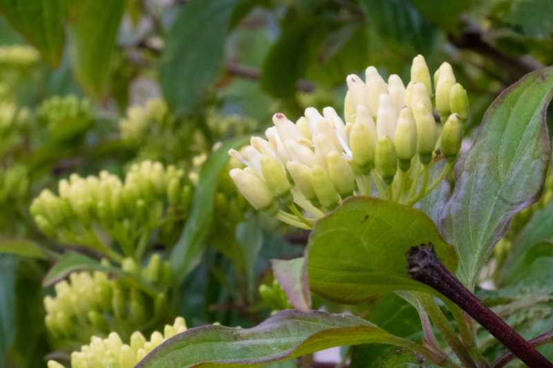 T30 2023 FLS RRO 103