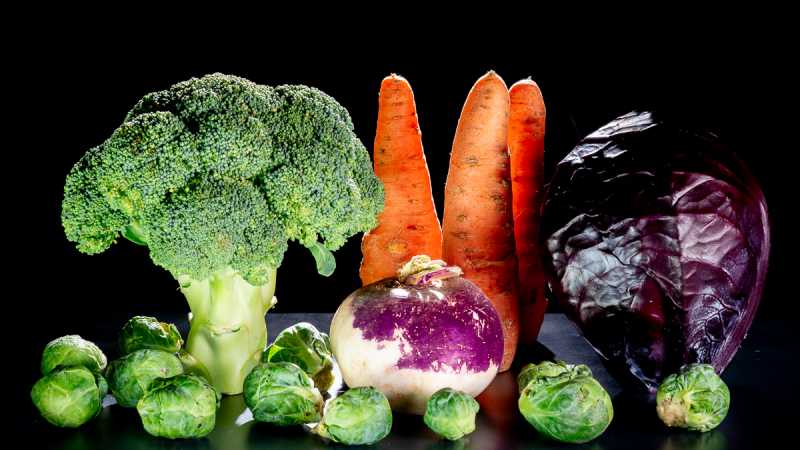 EXP 2024 MON RRO 120 EXP 2024 MON RRO 120